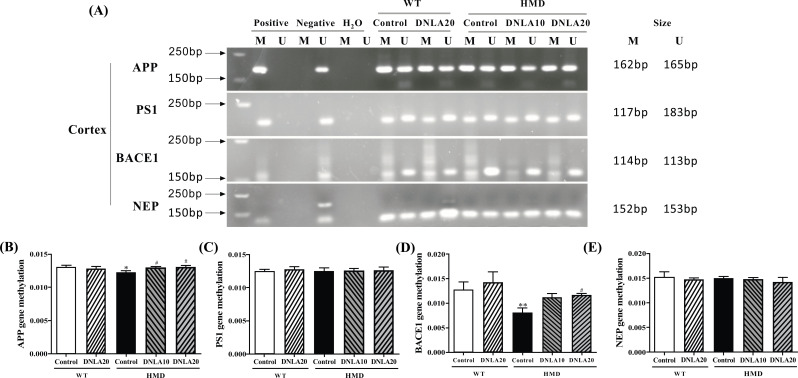 Fig. (11)