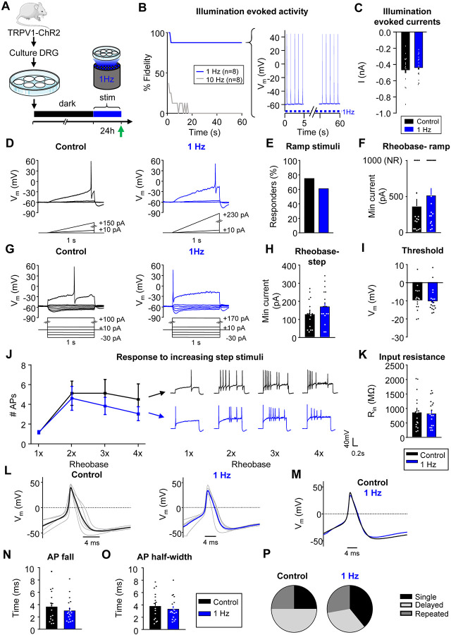 Figure 4: