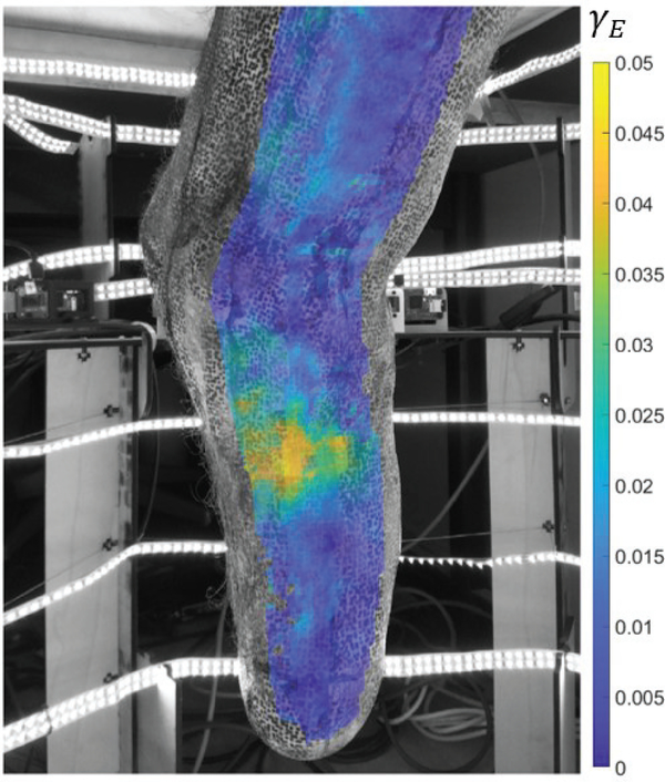 Fig. 9.