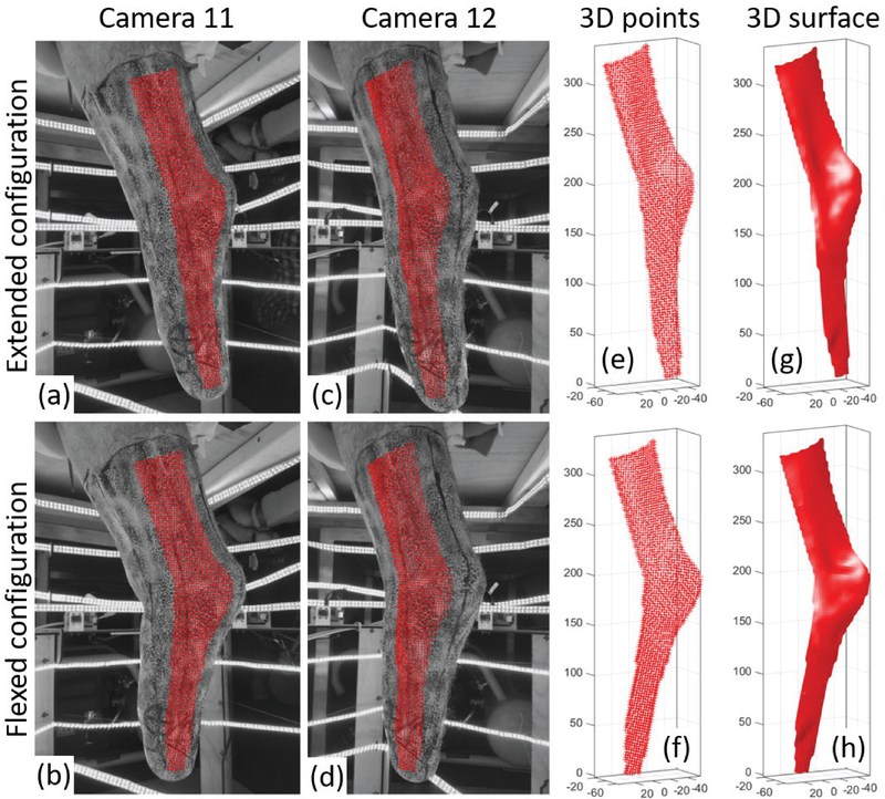 Fig. 3.