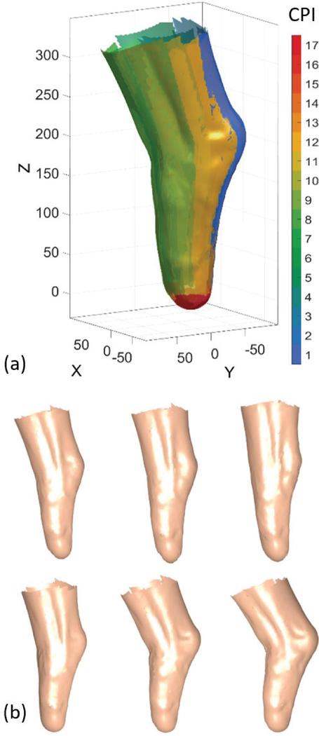 Fig. 5.