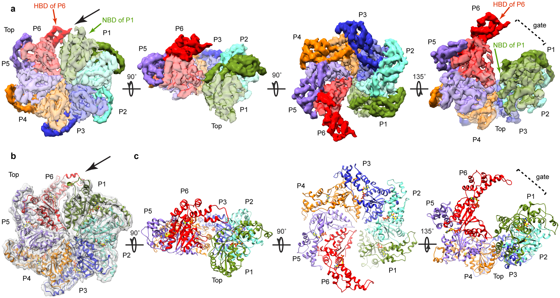 Figure 2.