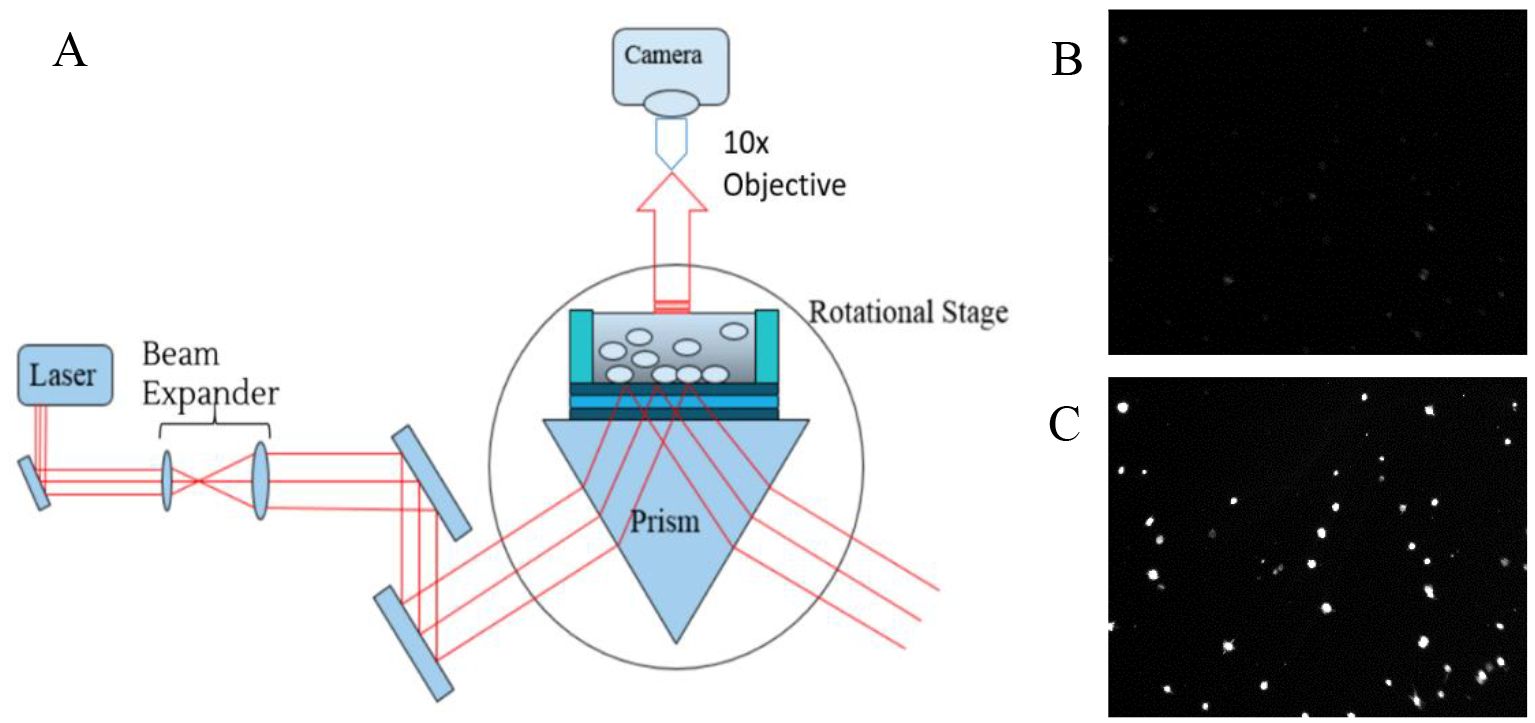 Figure 2.