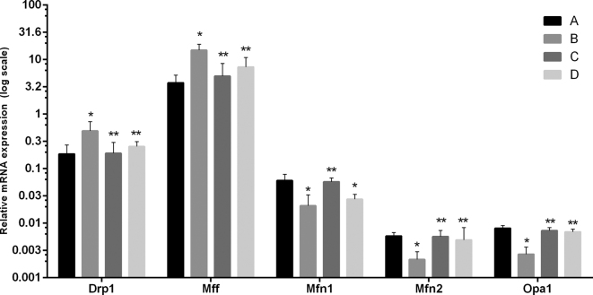 Figure 6