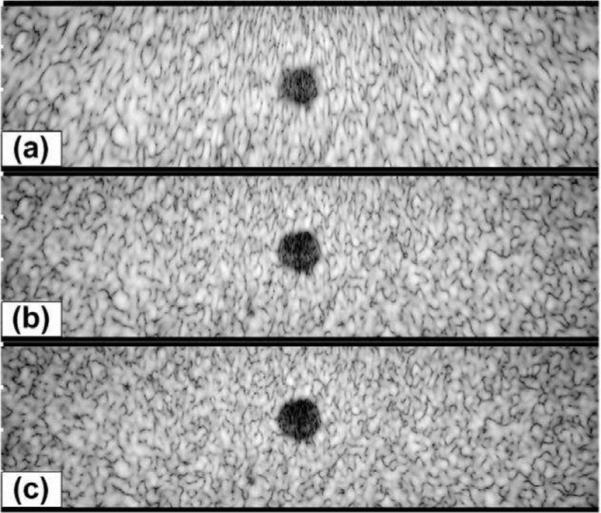 Fig. 11