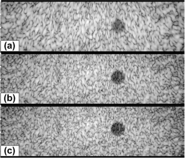 Fig. 13