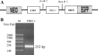 Fig. 1