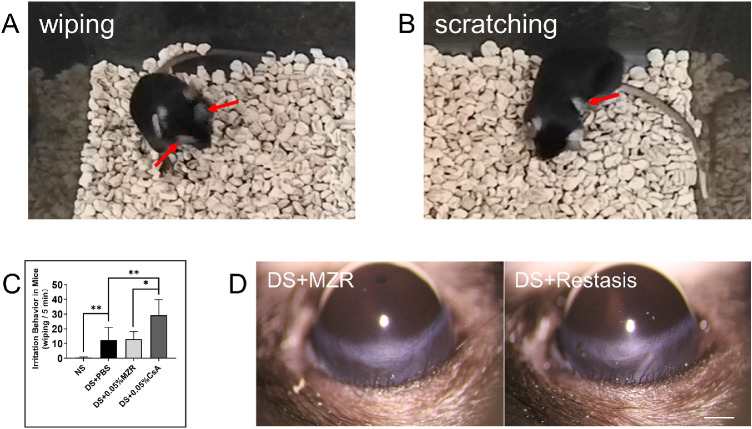 Figure 5.