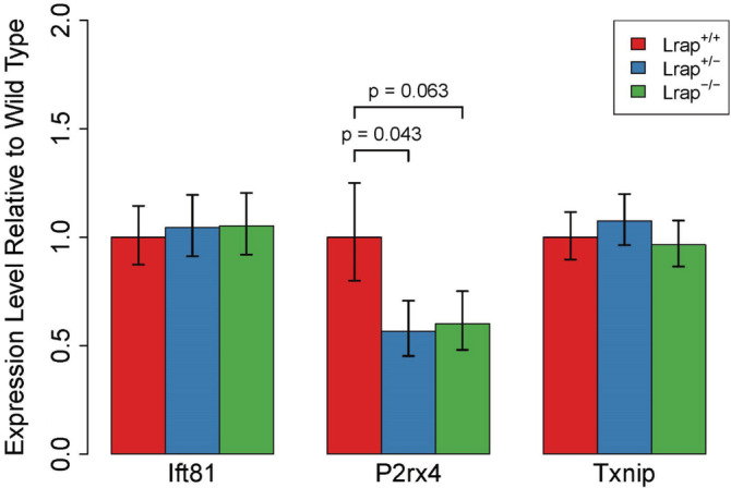 FIGURE 3