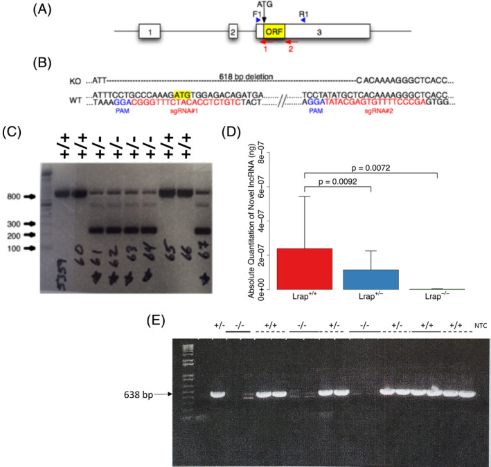 FIGURE 1