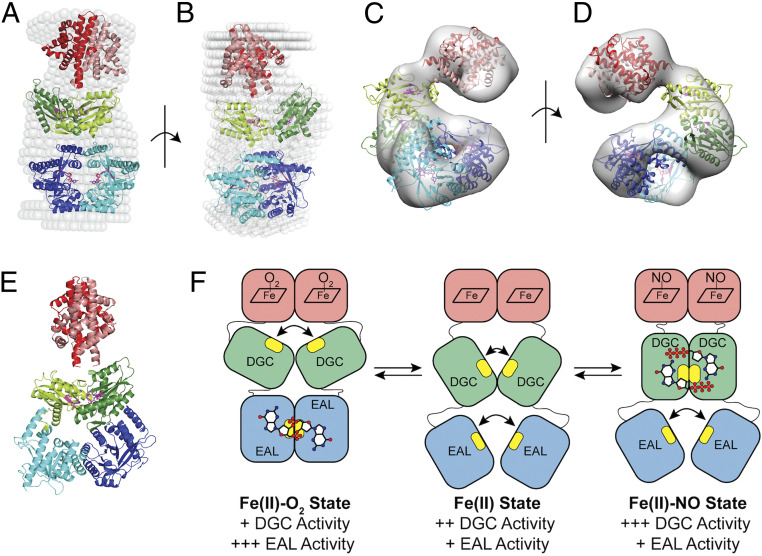 Fig. 6.