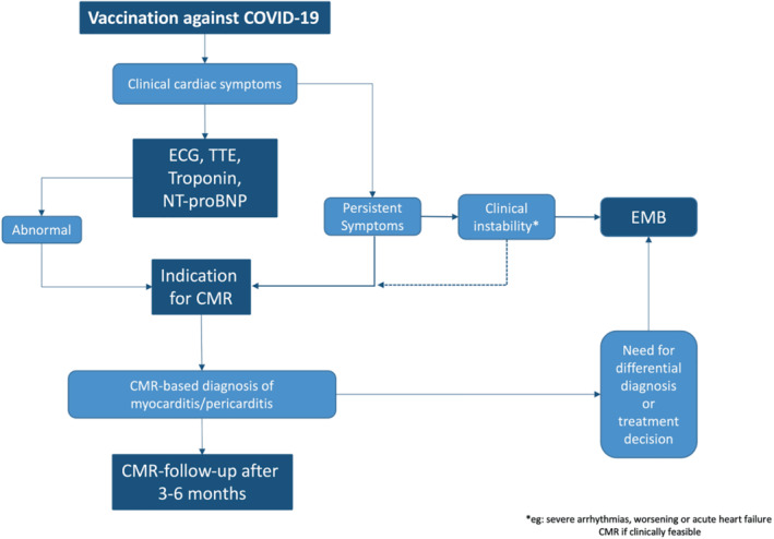 EJHF-2669-FIG-0005-c