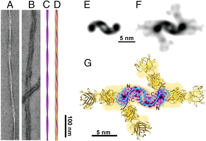 Fig. 2.