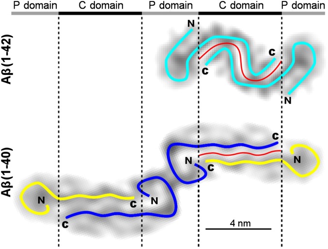 Fig. 4.