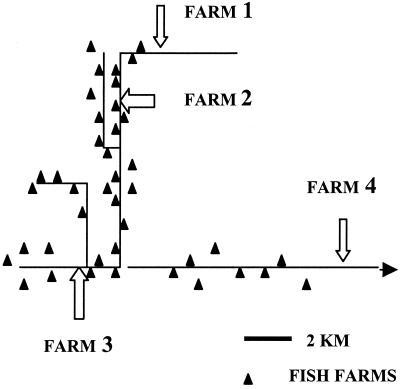 FIG. 1