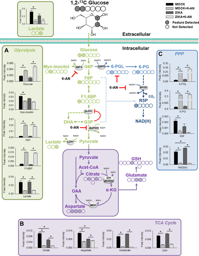 FIG 6