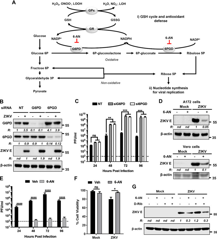 FIG 3