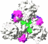 FIG. 7.