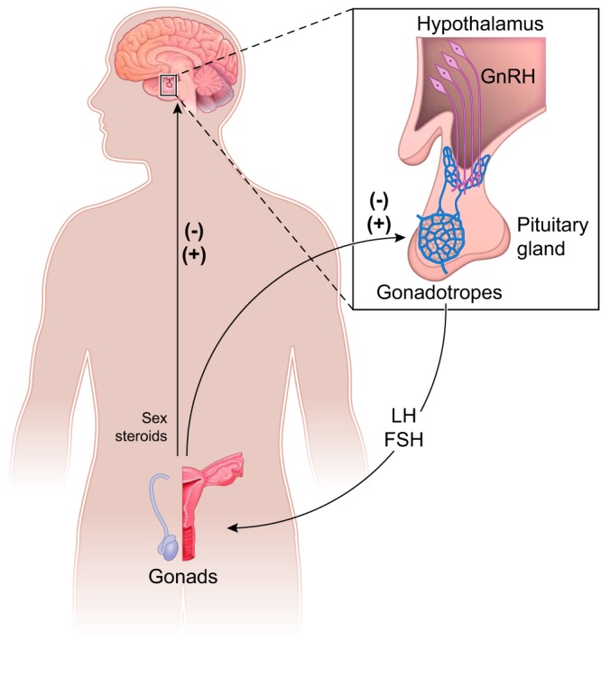 FIGURE 1.