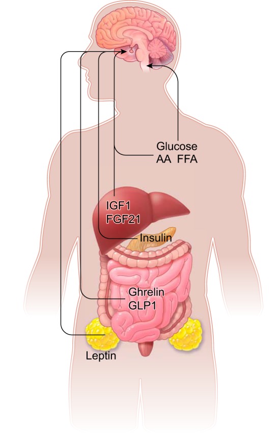 FIGURE 3.