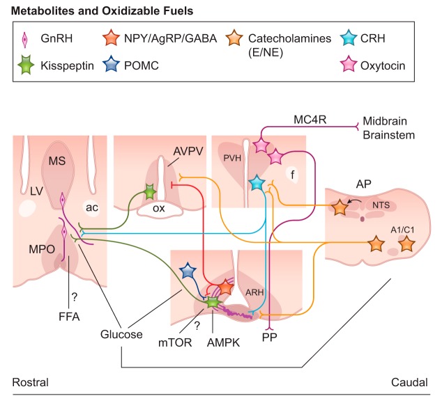 FIGURE 7.