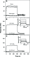 FIGURE 9.