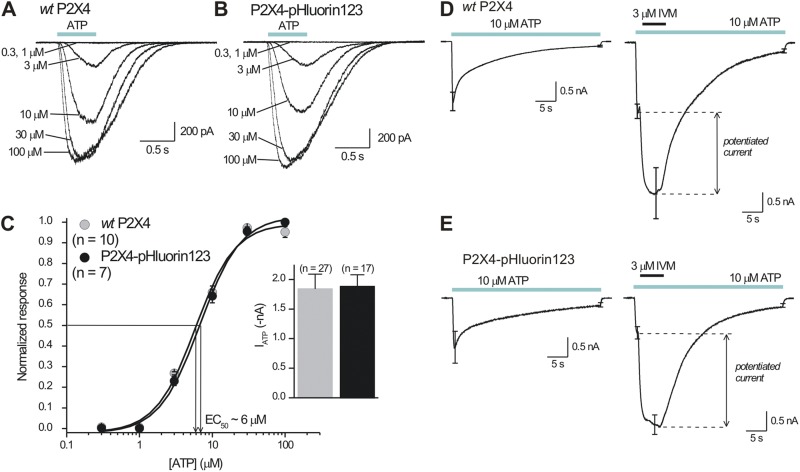 Figure 4.