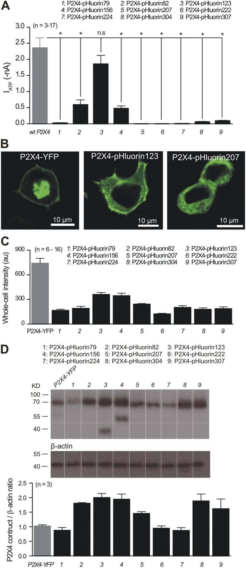 Figure 3.