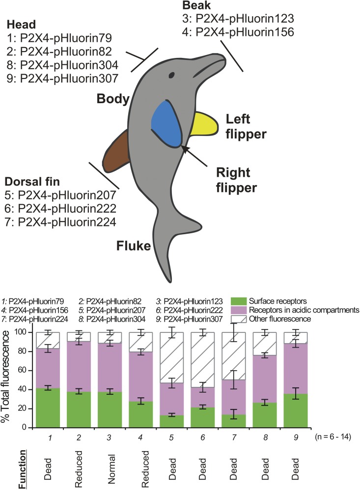 Figure 9.