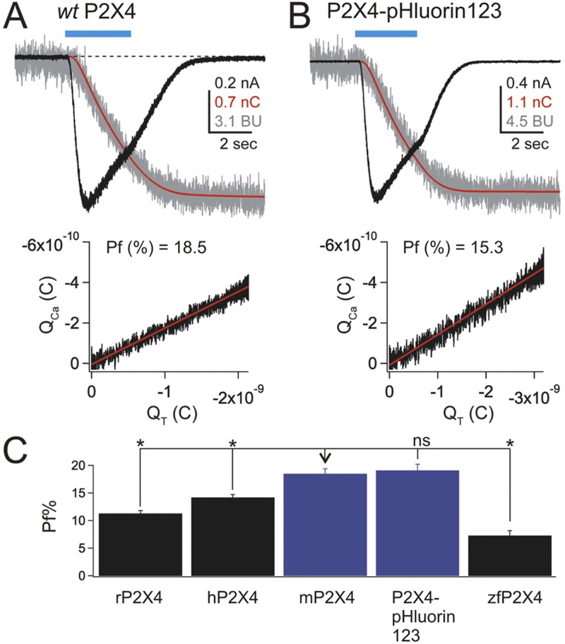 Figure 5.