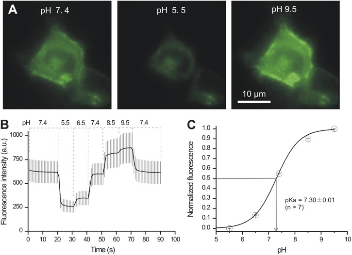 Figure 6.