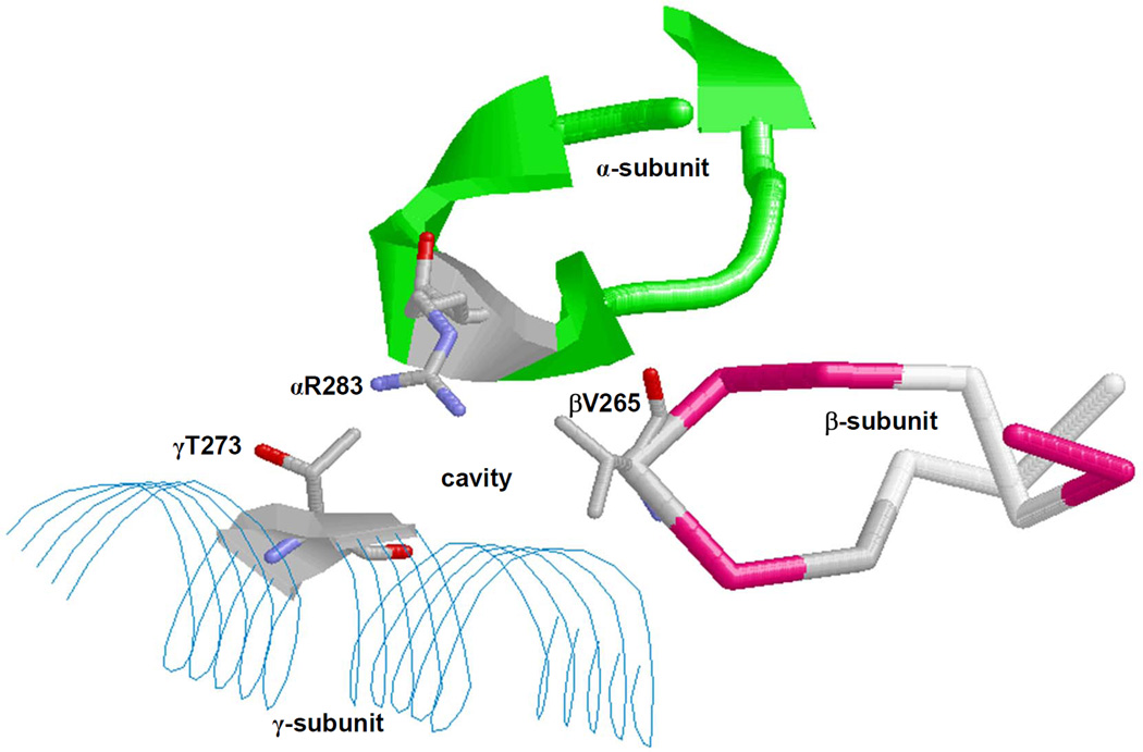 Fig. 3