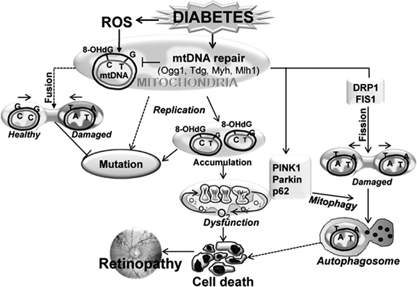 Figure 3: