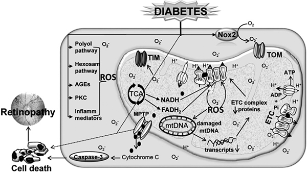 Figure 1: