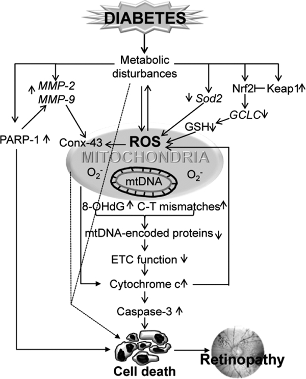 Figure 2: