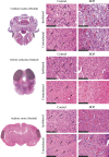 FIG. 6.