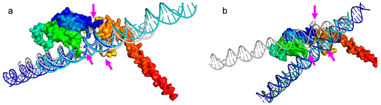 Figure 7