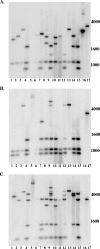 FIG. 3.