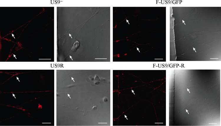 FIG 2