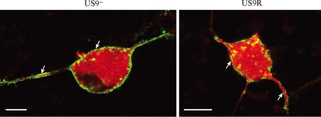 FIG 10