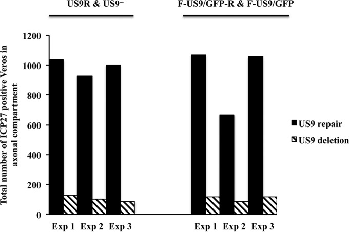 FIG 5