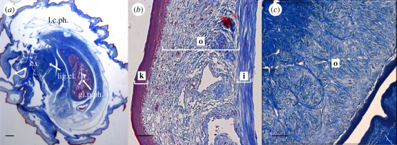 Figure 3.