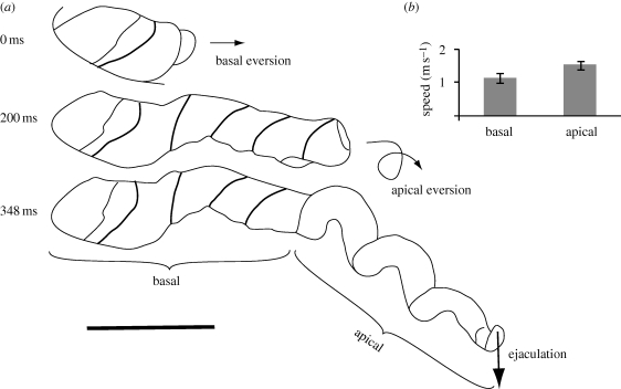 Figure 2.