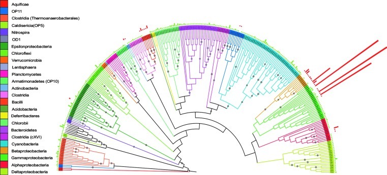 FIG. 2.