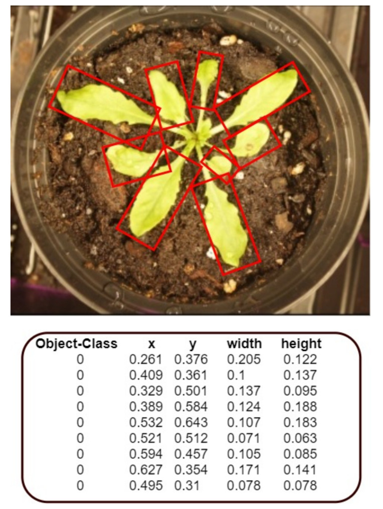 Figure 5