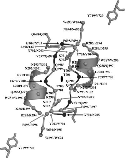 FIG. 5.