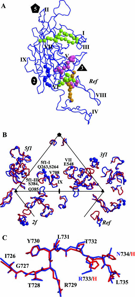 FIG. 7.