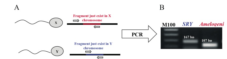 Fig.1