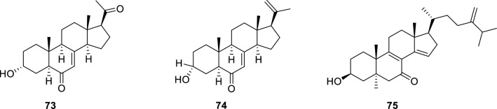 Fig. 13