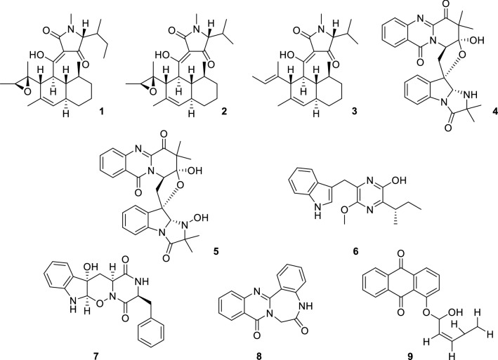 Fig. 1